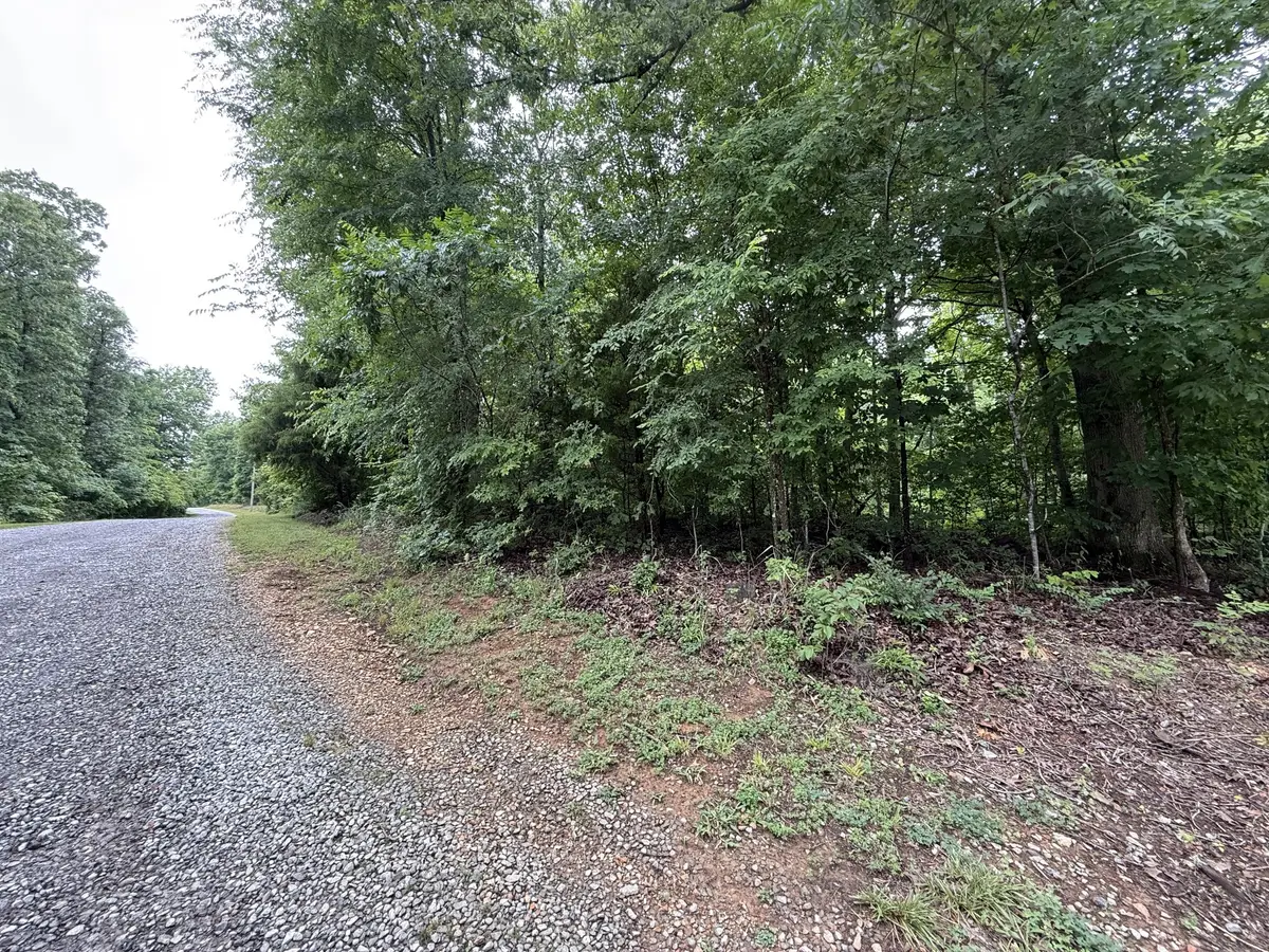 4 Anglin Ridge Rd, Dover, TN 37058 - #1