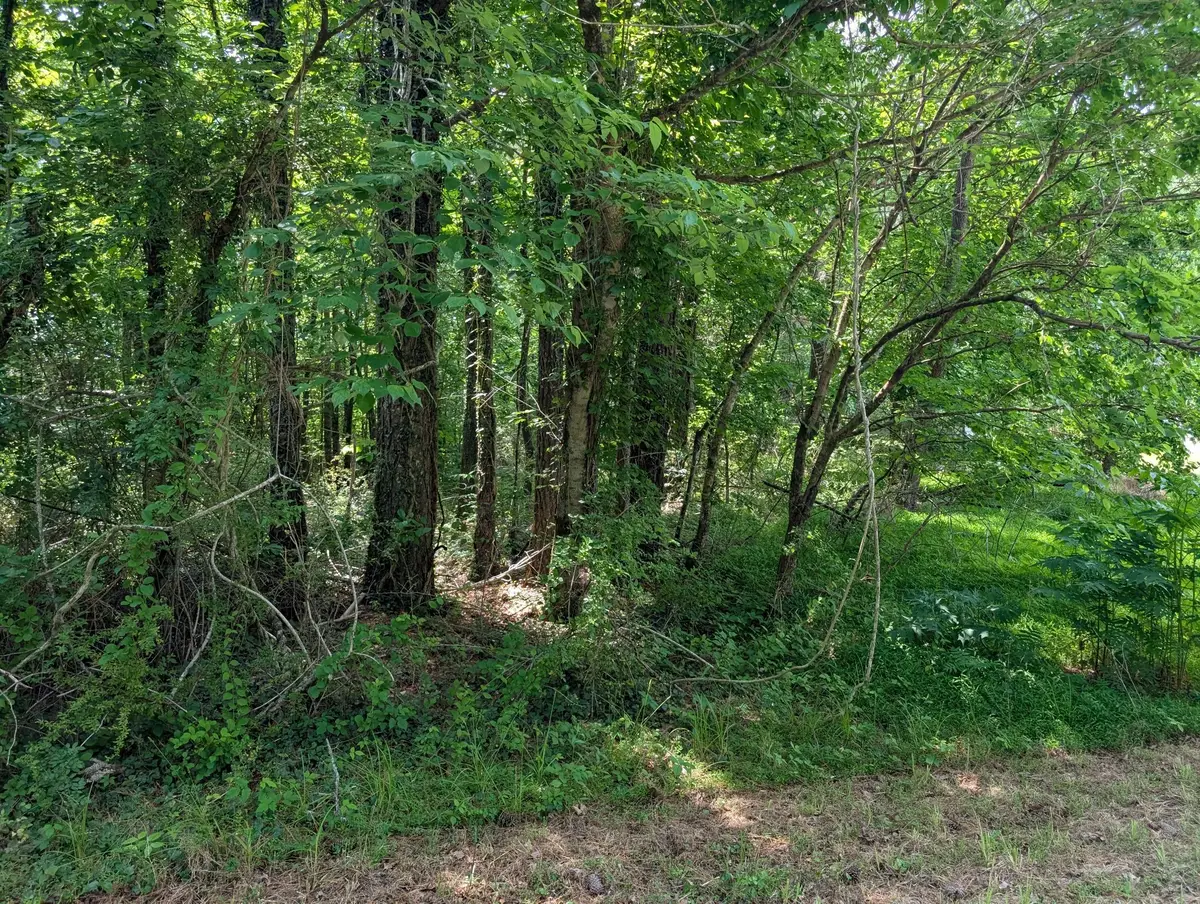 0 Montgomery, Tracy City, TN 37387 - #1
