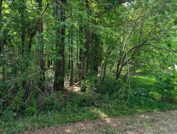 0 Montgomery, Tracy City, TN 37387
