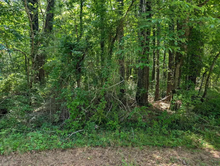 0 Montgomery, Tracy City, TN 37387 - #2