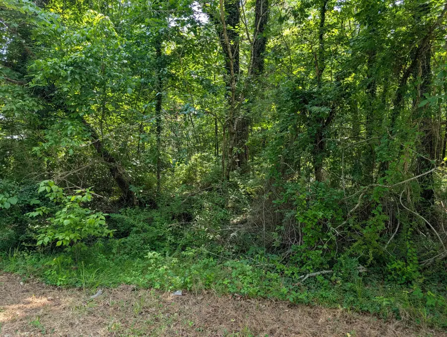 0 Montgomery, Tracy City, TN 37387 - #3