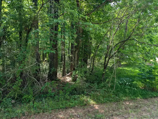 0 Gum Street, Tracy City, TN 37387