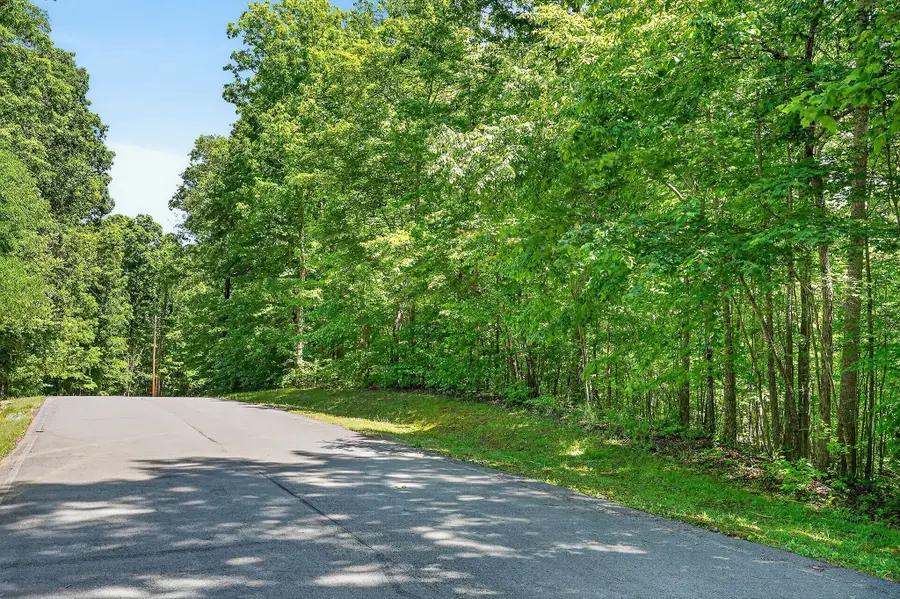10 Mountain Harbor Trce, Sparta, TN 38583 - #3