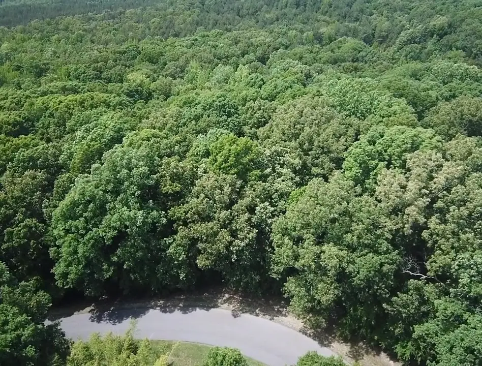 957 Grand Valley Dr, Saulsbury, TN 38067 - #1
