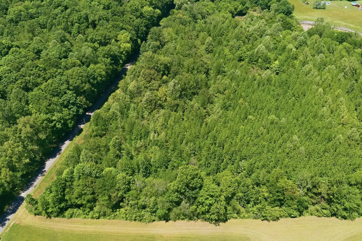 0A Upperstanding Rock Rd, Dover, TN 37058 - #1
