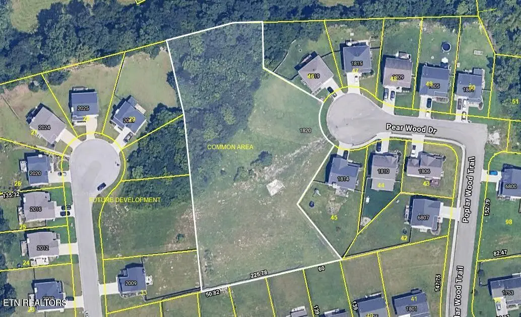 1820 Pear Wood Drive, Knoxville, TN 37920 - #1