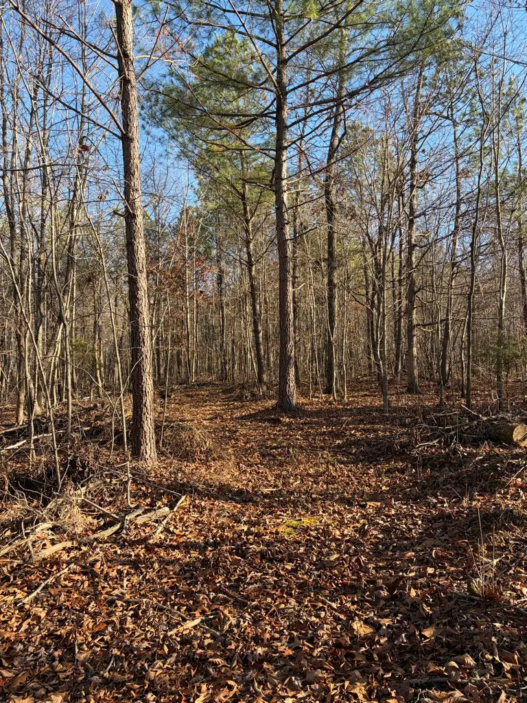 0 Hatley Rd, Lyles, TN 37098 - #3