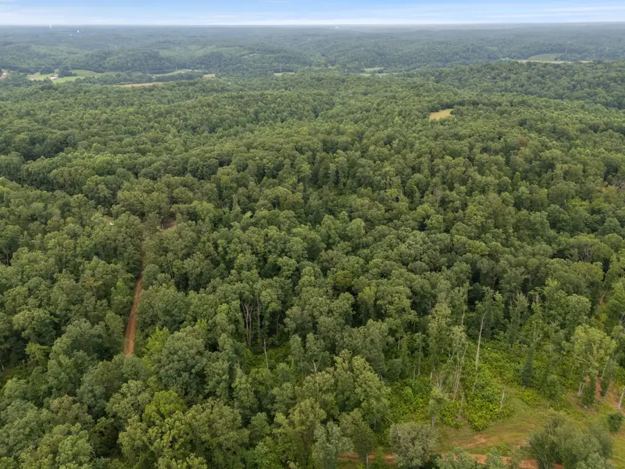 1270 N Buchanan Rd, Waverly, TN 37185 - #3