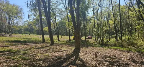 5 Poplar Ridge Ln, Chapmansboro, TN 37035 - #1