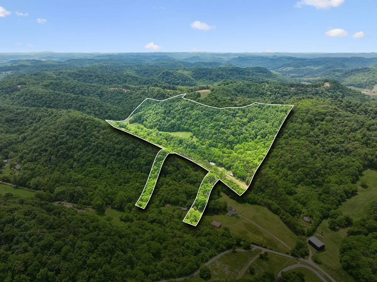 34 Friendship Hollow Rd N, Pleasant Shade, TN 37145 - #1