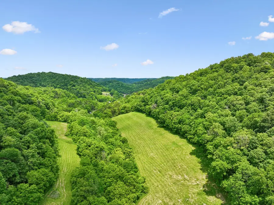 34 Friendship Hollow Rd N, Pleasant Shade, TN 37145 - #2