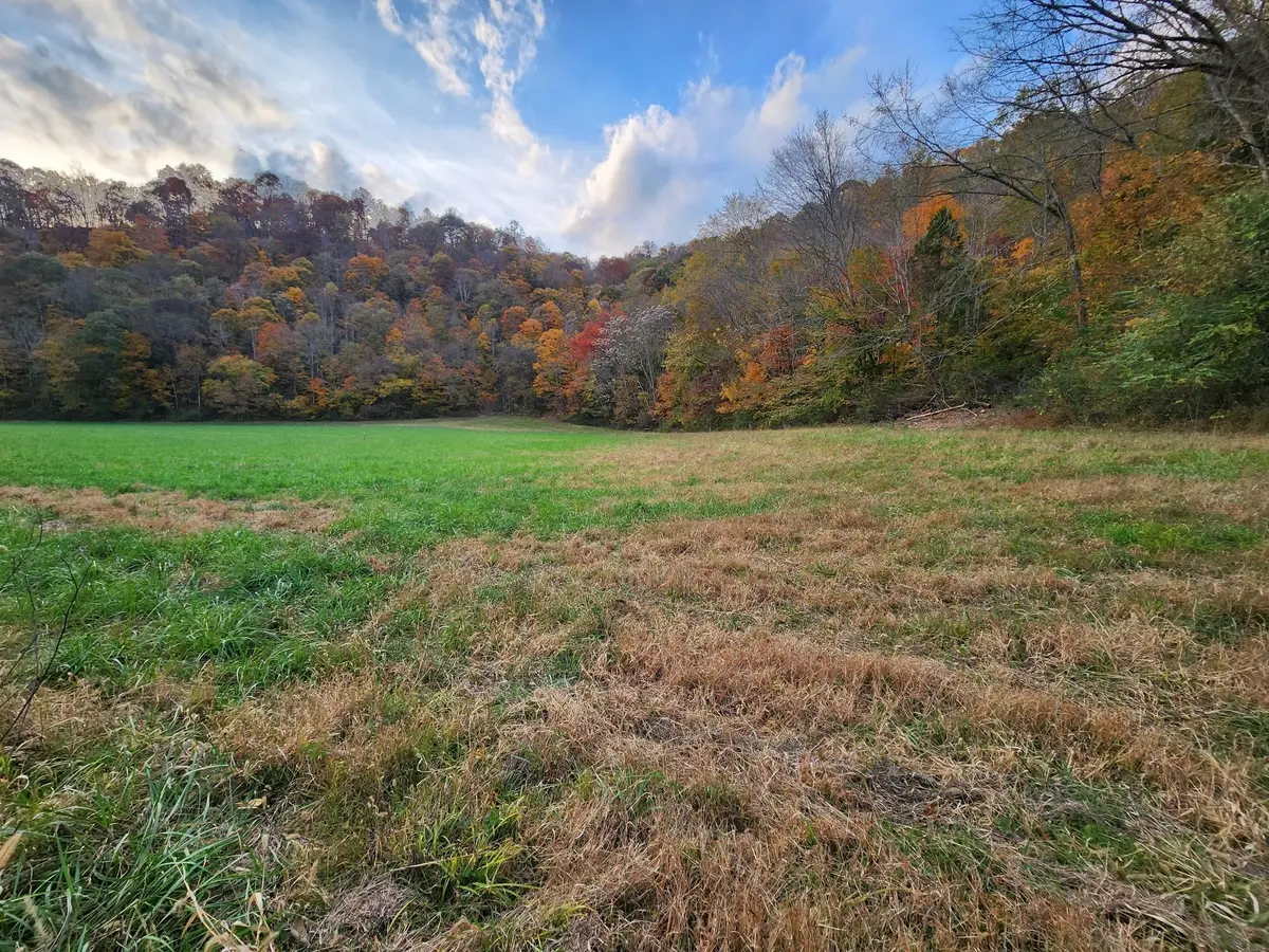 0 Pine Lick Rd, Whitleyville, TN 38588 - #1