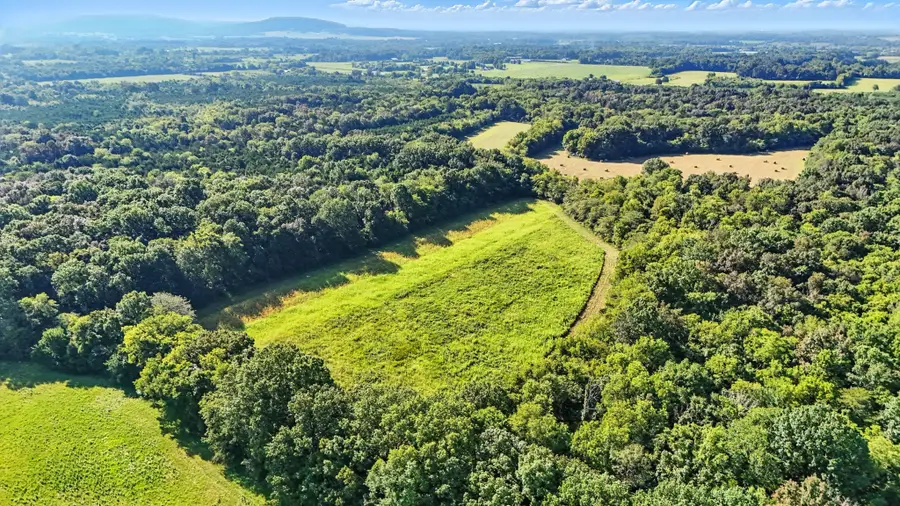 790 Squire Hall Rd, Bell Buckle, TN 37020 - #3