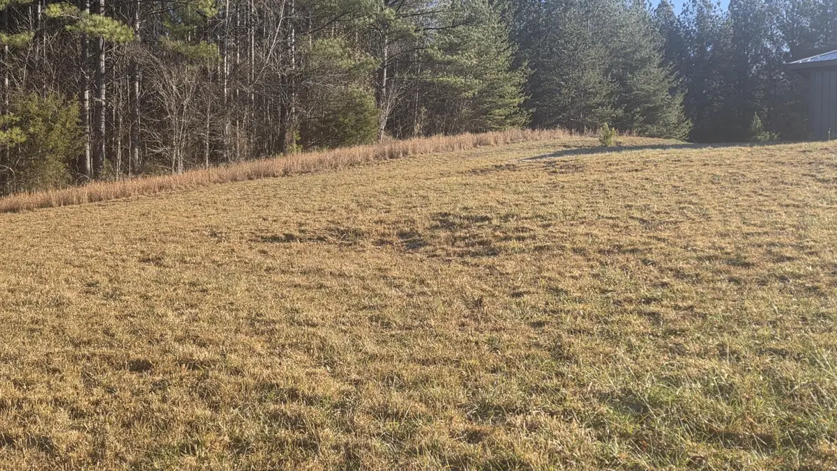 122 White Water Run Lane, Ocoee, TN 37361 - #1