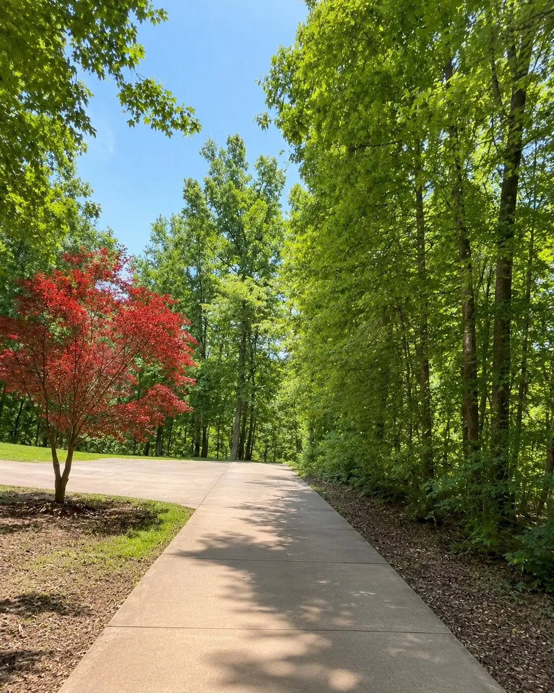 150A Dogwood Springs Dr, Portland, TN 37148 - #1