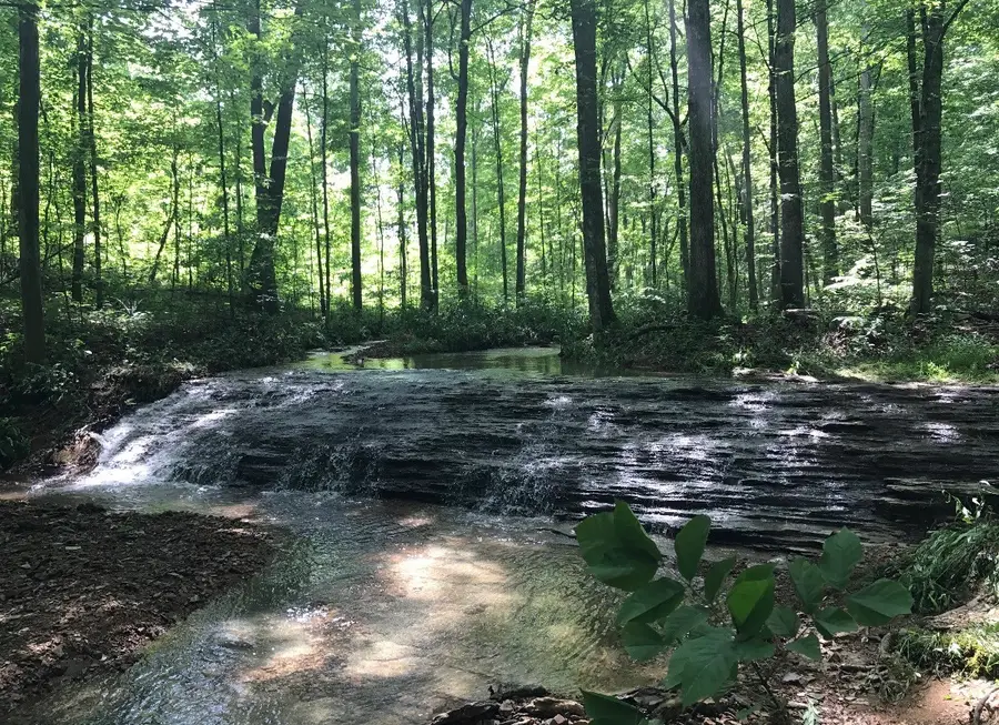 150A Dogwood Springs Dr, Portland, TN 37148 - #3
