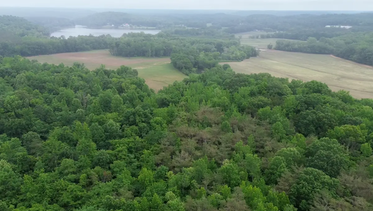510 Lost Creek Farm Dr, Decaturville, TN 38329 - #1