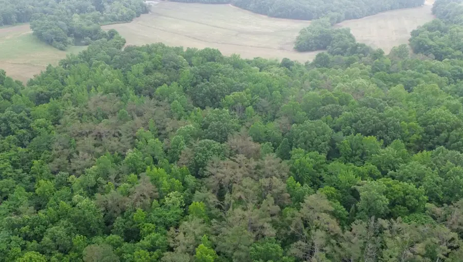 510 Lost Creek Farm Dr, Decaturville, TN 38329 - #3