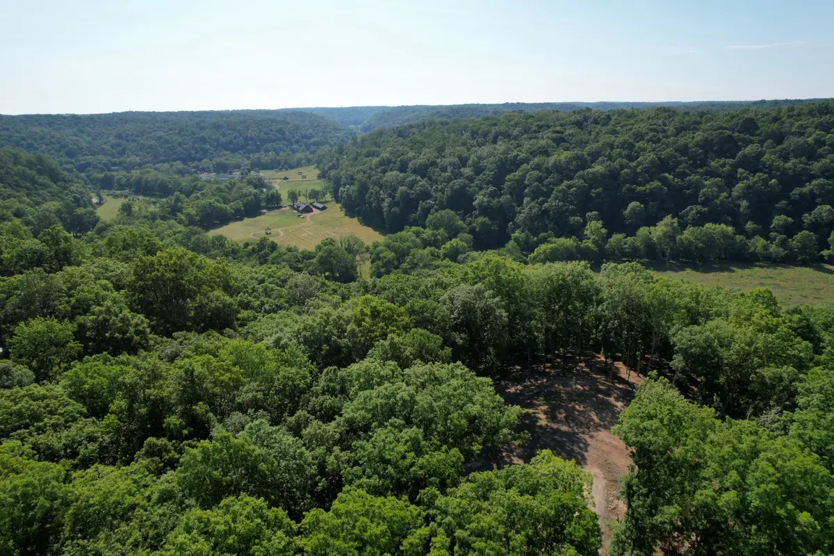 7506 Ivorybill Ln, Franklin, TN 37064 - #1
