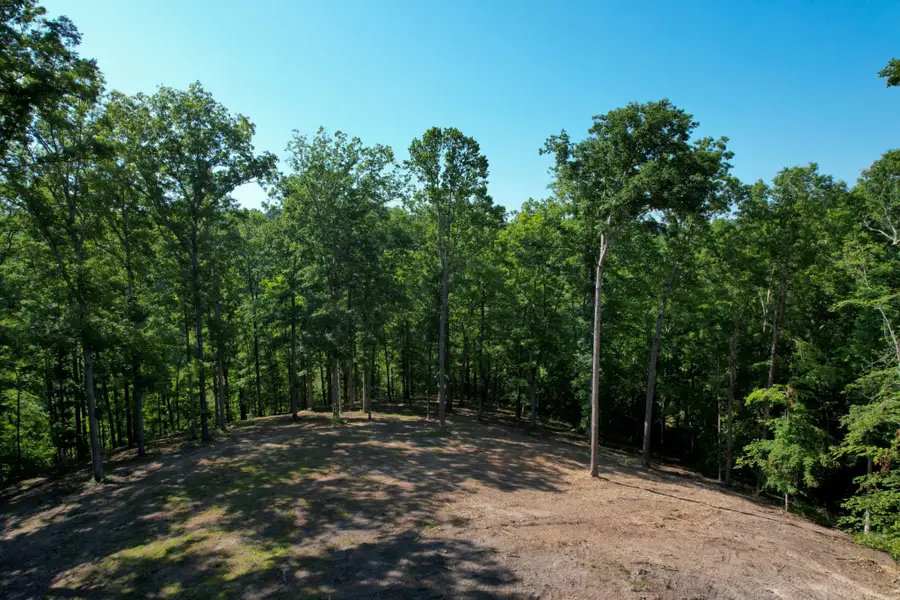 7506 Ivorybill Ln, Franklin, TN 37064 - #3