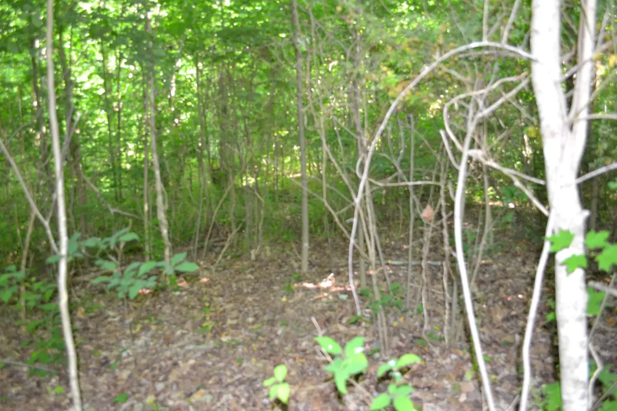 0 Dynamite Ln, Livingston, TN 38570 - #1