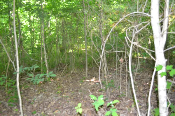 0 Dynamite Ln, Livingston, TN 38570
