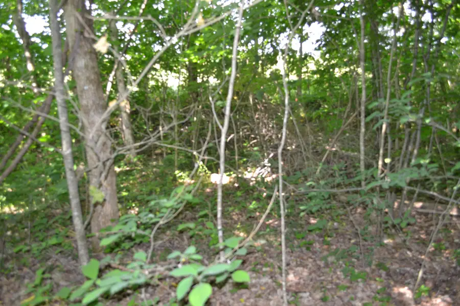0 Dynamite Ln, Livingston, TN 38570 - #3