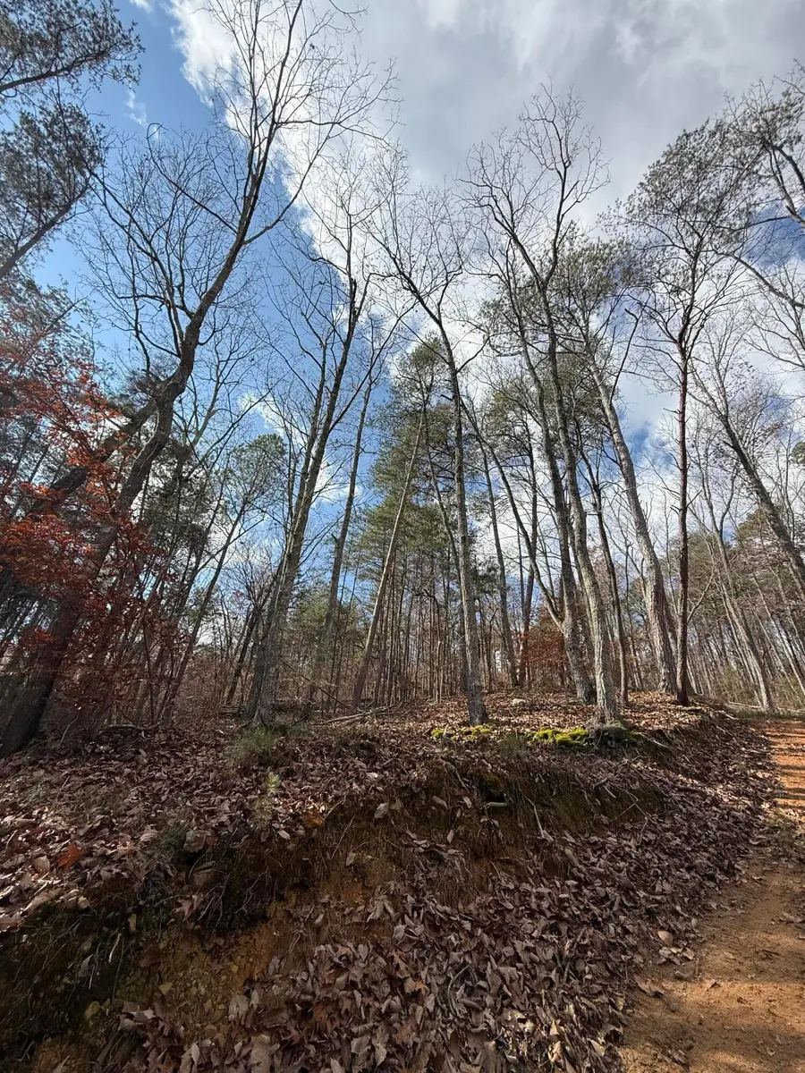 1 Parksville Road, Benton, TN 37307 - #2