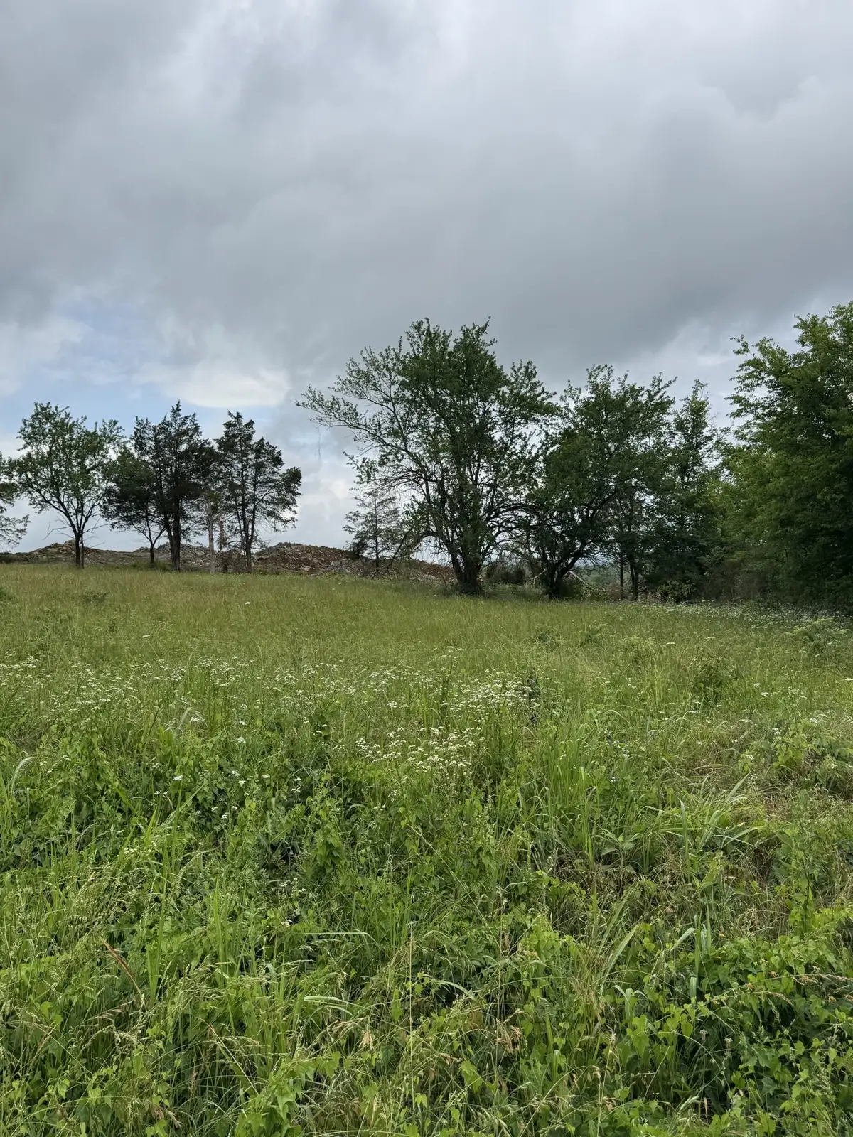 1555 E Stewarts Ln, Nashville, TN 37218 - #1