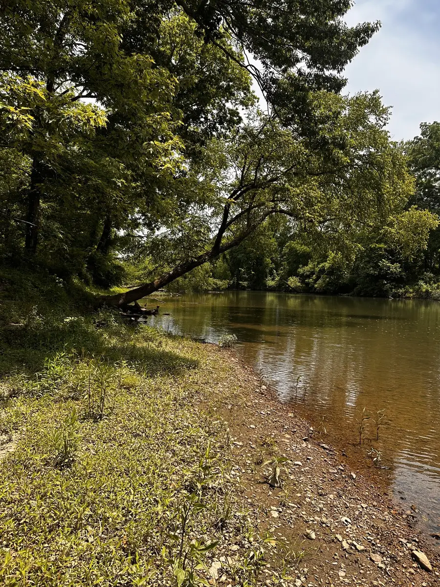 238 Texas Bottom Ln, Hohenwald, TN 38462 - #3