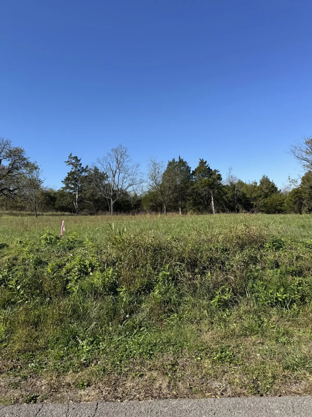 1547 E Stewarts Ln, Nashville, TN 37218 - #1