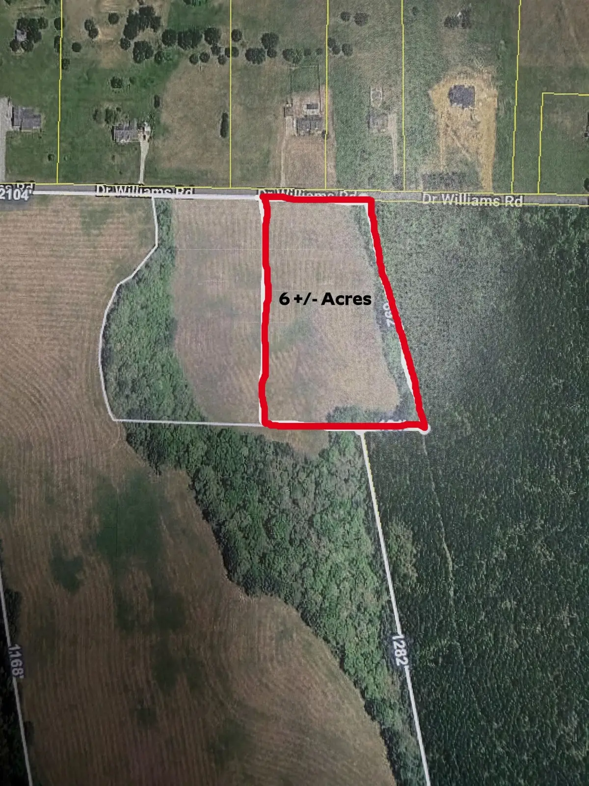 1 Dr Williams Rd, Michie, TN 38357 - #1