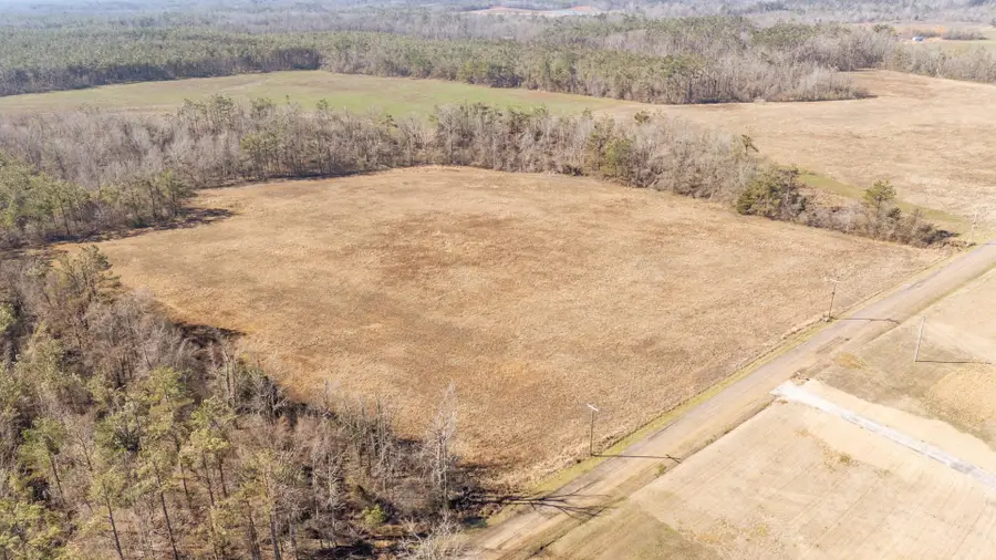 1 Dr Williams Rd, Michie, TN 38357 - #3