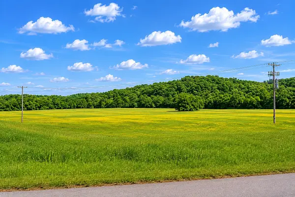 0 Lawrenceburg Hwy, Mount Pleasant, TN 38474