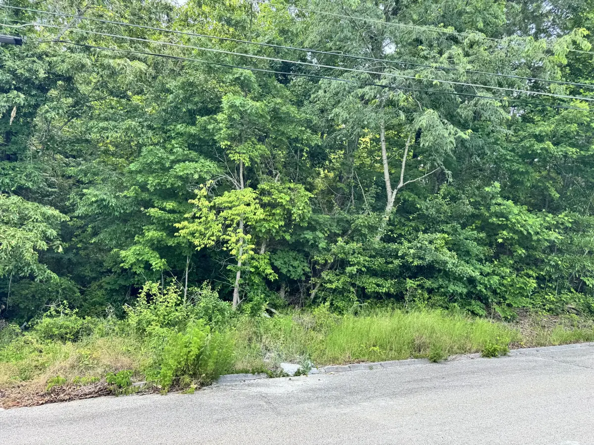 7405 Woodland Bay Drive, Harrison, TN 37341 - #1