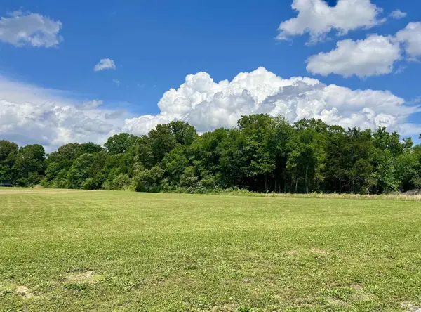 0 Cordova Cv, Savannah, TN 38372