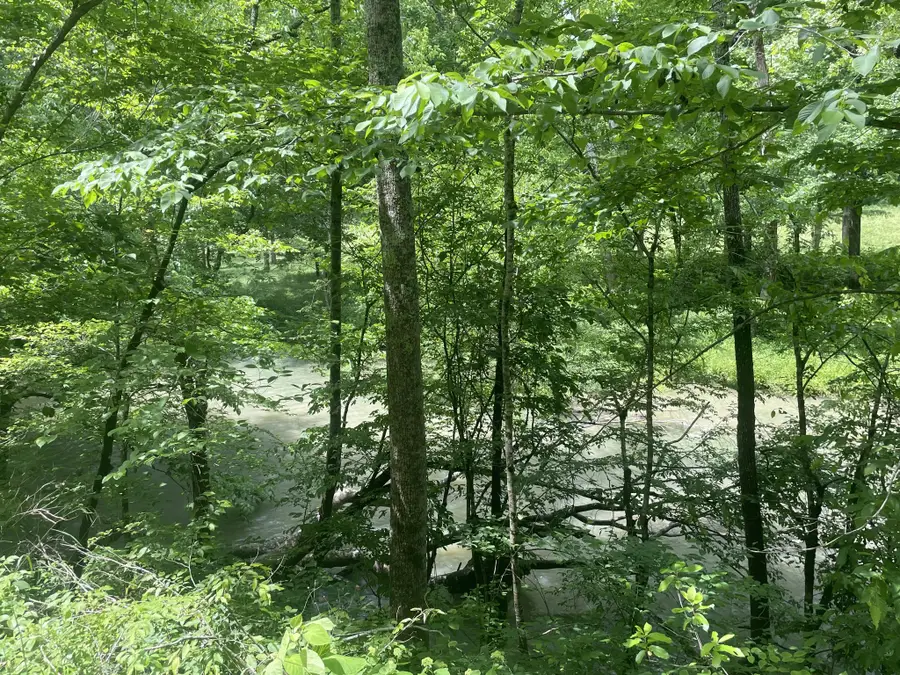 457 Shiloh Rd, Crawford, TN 38554 - #2