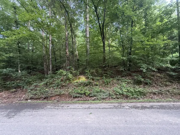 0 Caney Branch Rd, Stewart, TN 37175