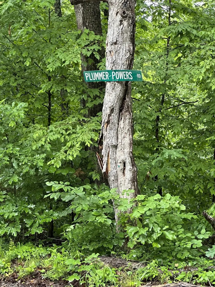 0 Gunson Ridge Road, Cumberland City, TN 37050 - #3