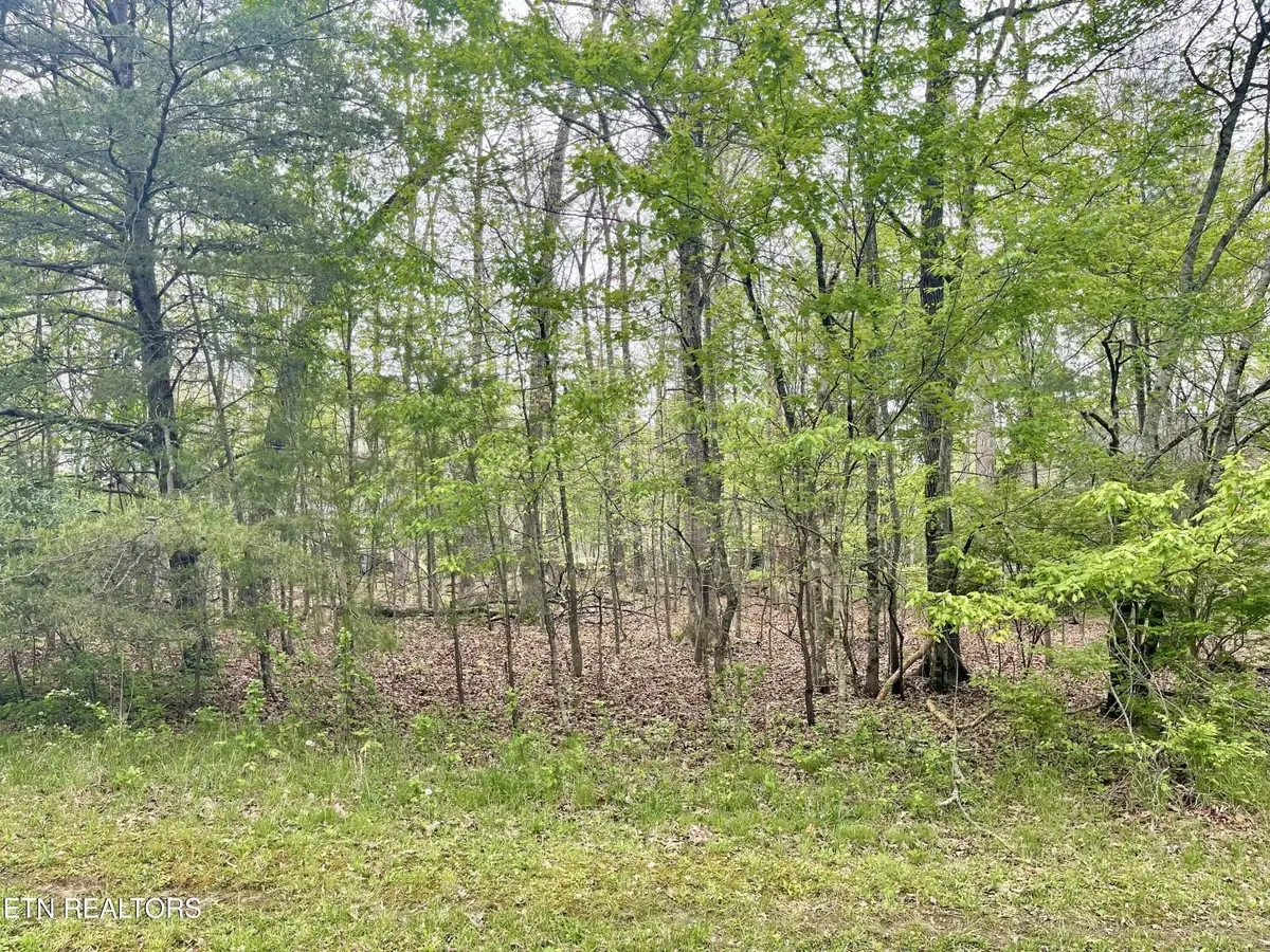 111 Rutgers Circle, Crossville, TN 38558 - #1