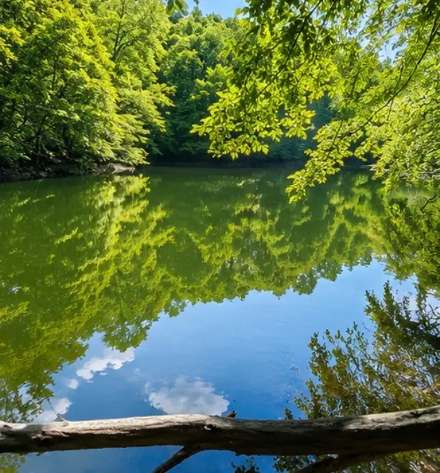0 Elklore Avenue, Estill Springs, TN 37330 - #3
