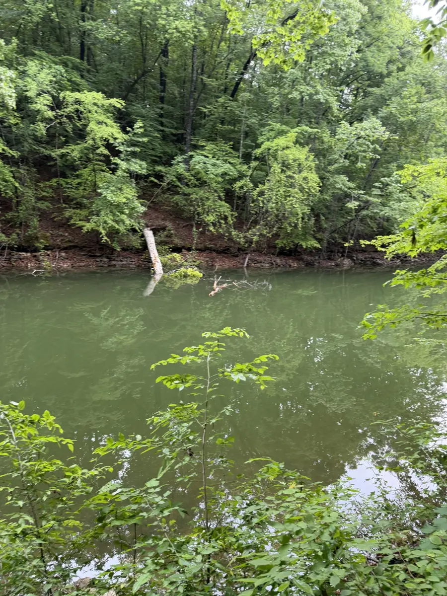0 Elklore Avenue, Estill Springs, TN 37330 - #3