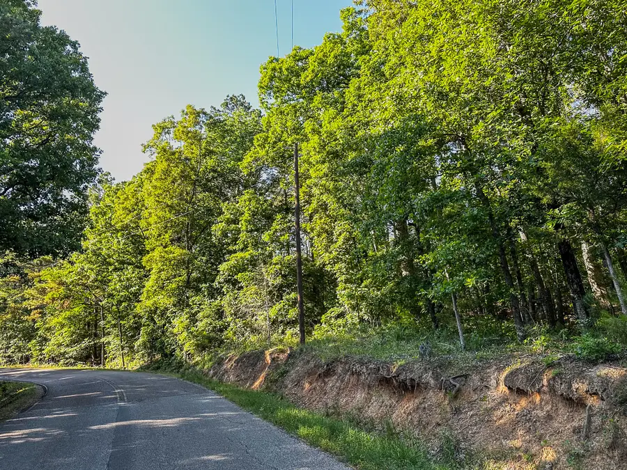 0 Post Office Rd, Michie, TN 38357 - #2