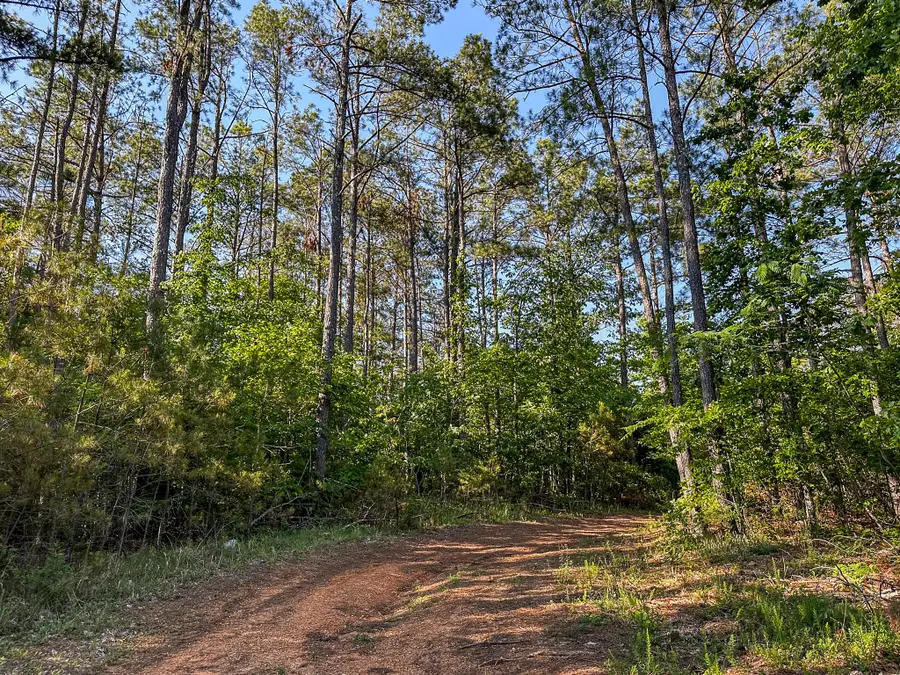 0 Post Office Rd, Michie, TN 38357 - #3
