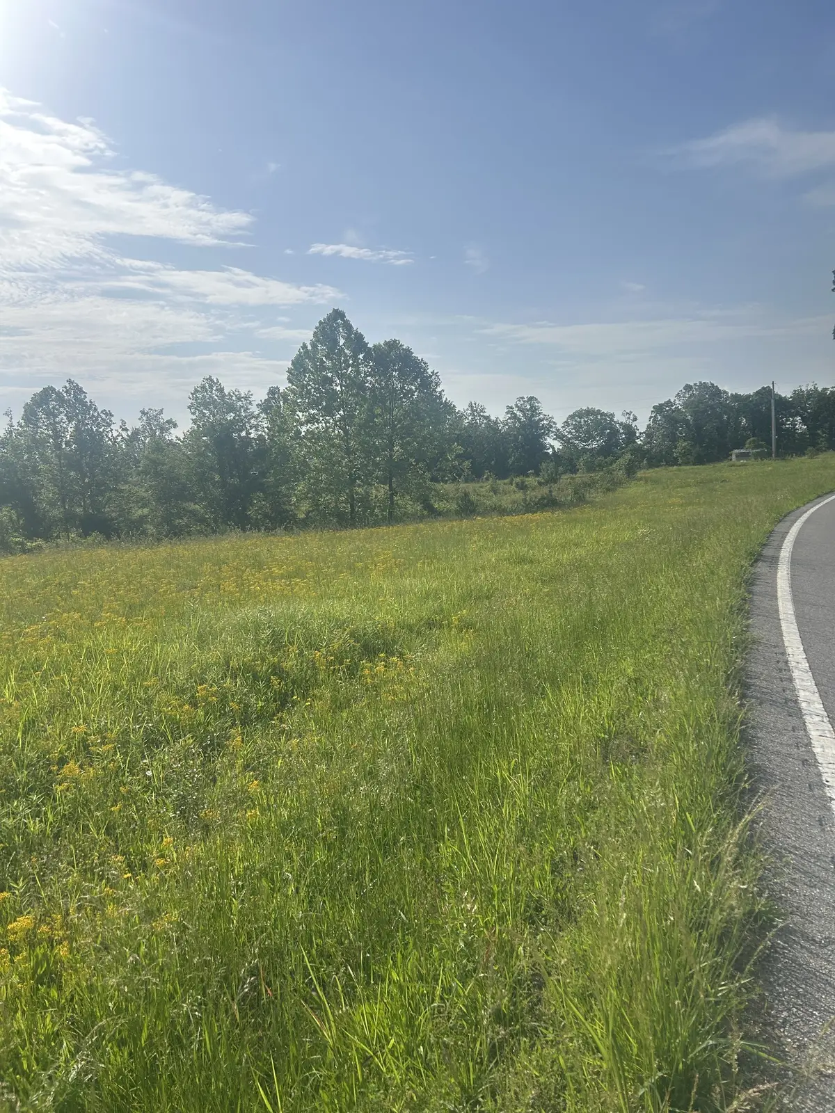 2047 Buffalo Rd, Hohenwald, TN 38462 - #1