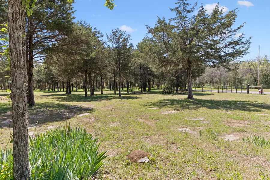 160 Osteen Ln, Chapel Hill, TN 37034 - #2