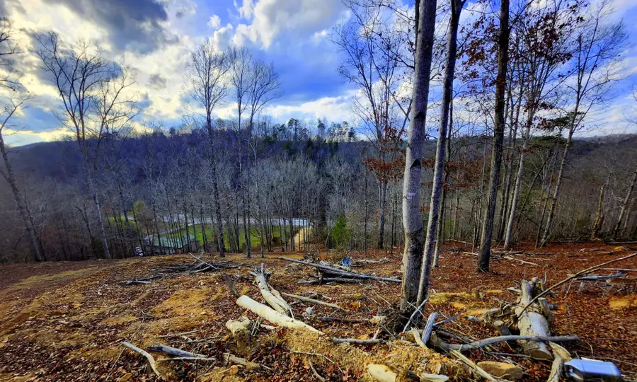 0 Harrison Pike W, McDonald, TN 37353 - #3
