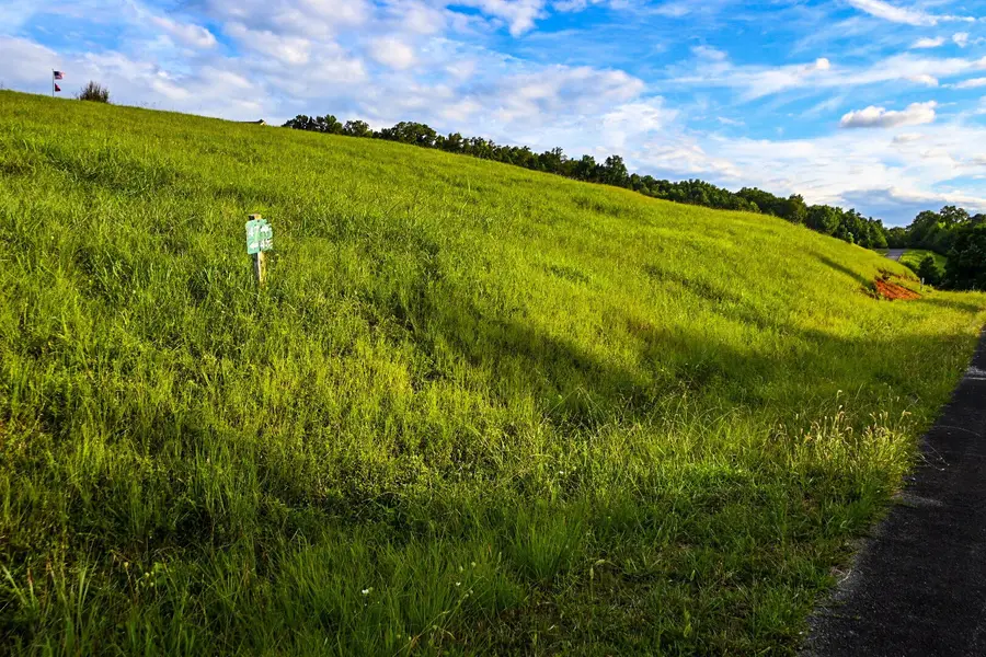 47 Mill Drive, Decatur, TN 37322 - #2