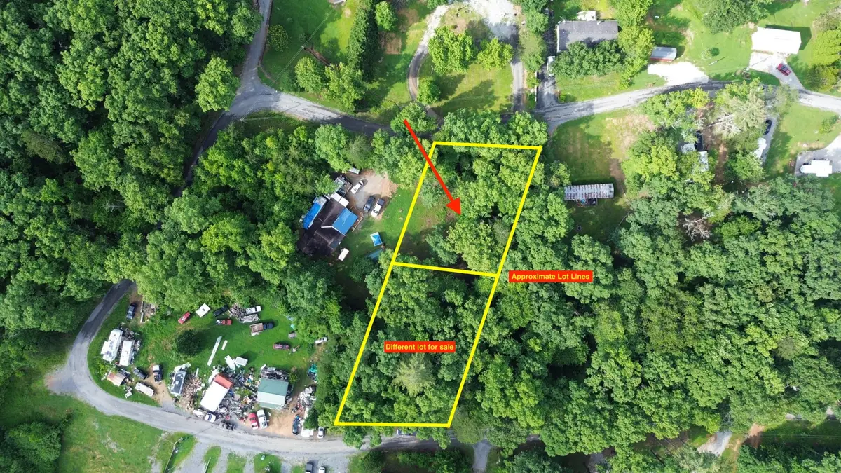 137 Randall Fugate Road, Spring City, TN 37381 - #1