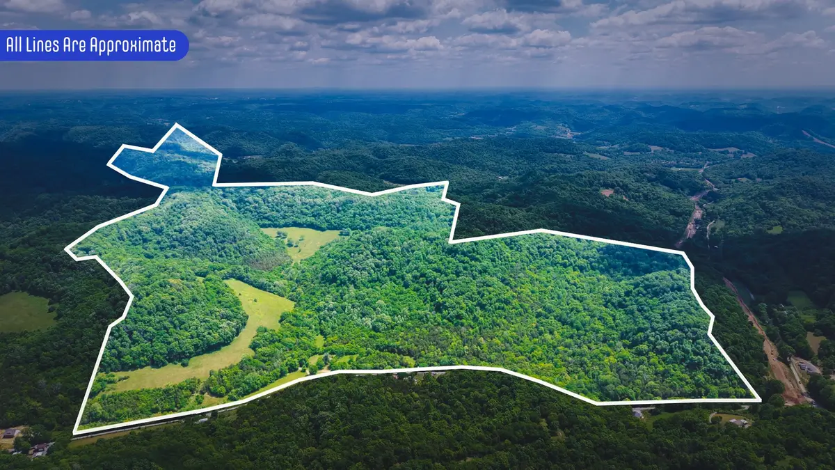 96 Maranatha Hollow Ln, Dixon Springs, TN 37057 - #1